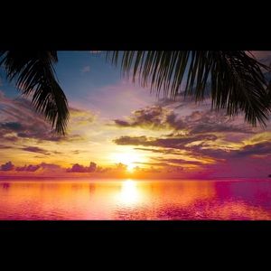 Meet your Posher, Paula